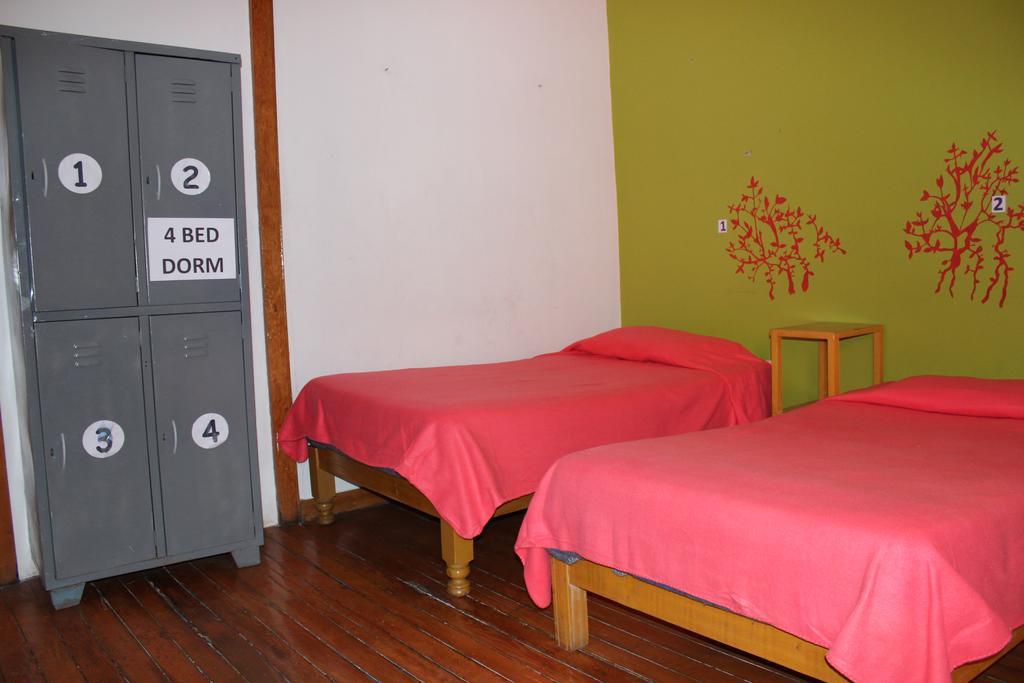 Mb Hostel ארקוויפה מראה חיצוני תמונה